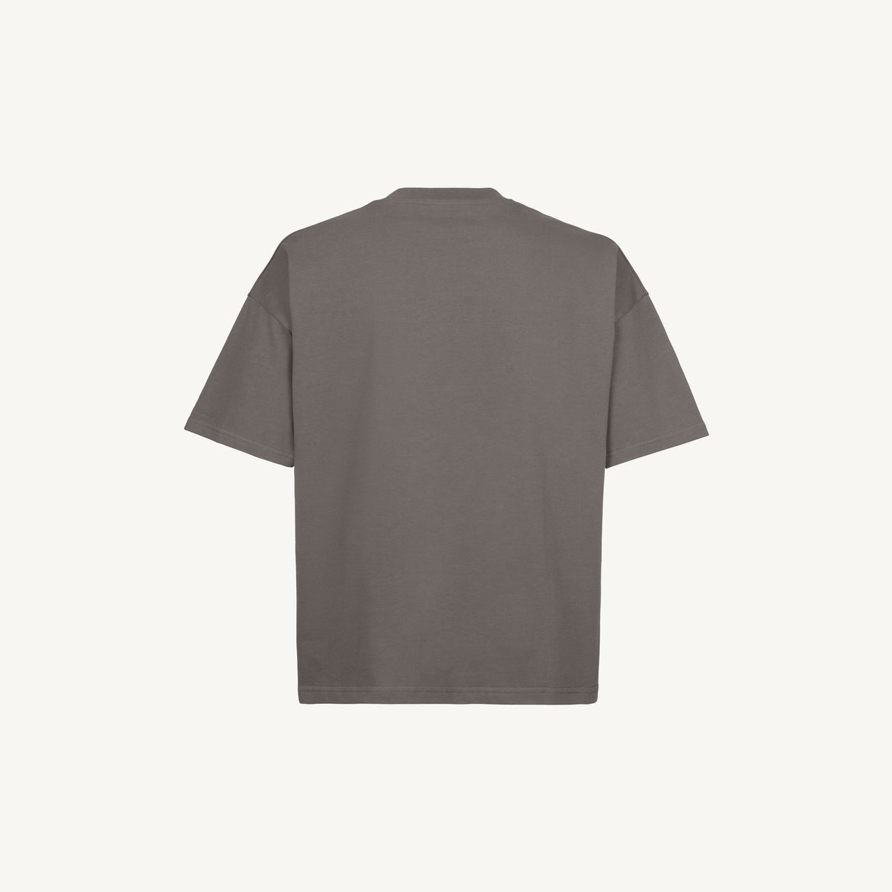 Pigment Grey Oversized Boxy T-Shirt