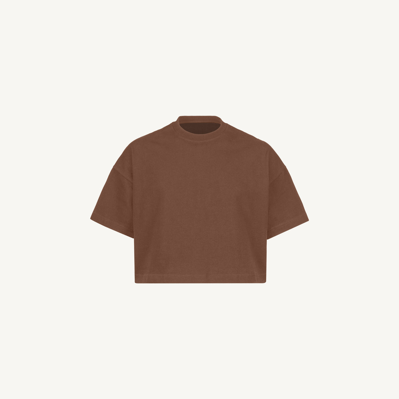 Vintage Brown Cropped Oversized T-Shirt
