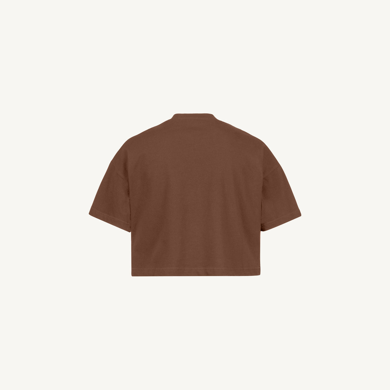 Vintage Brown Cropped Oversized T-Shirt